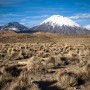 Volcan et pampa