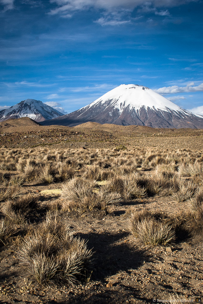 Volcan et pampa