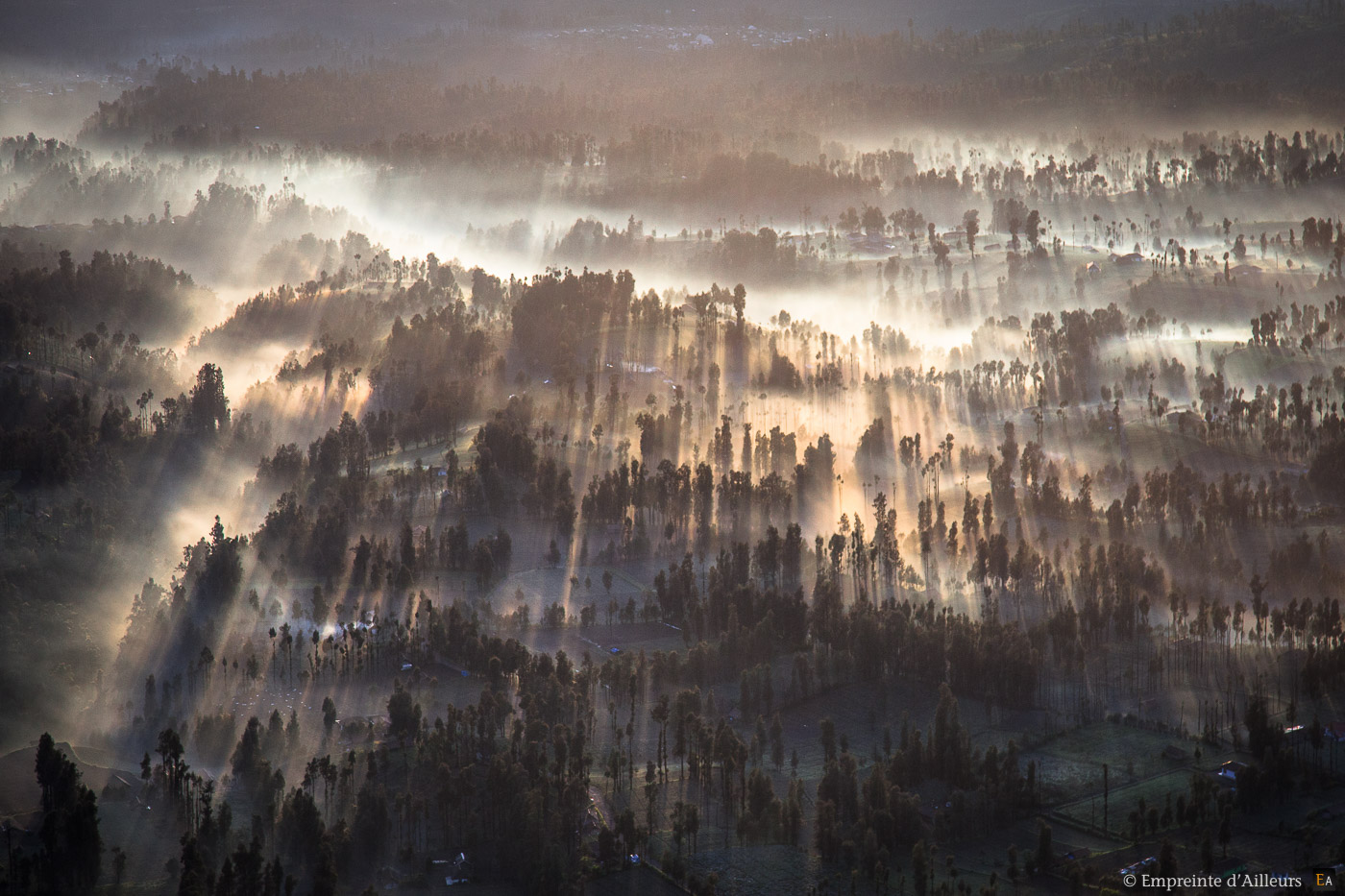 Brumes du matin