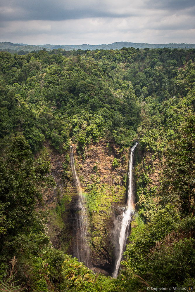 Trou de verdure de TadFan