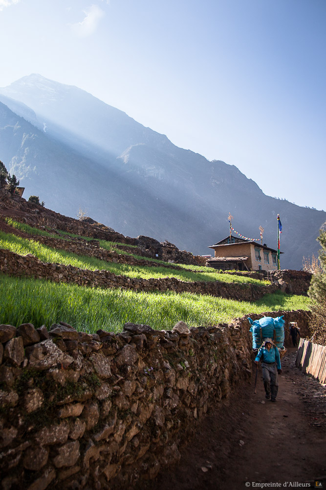 Sherpa au petit matin