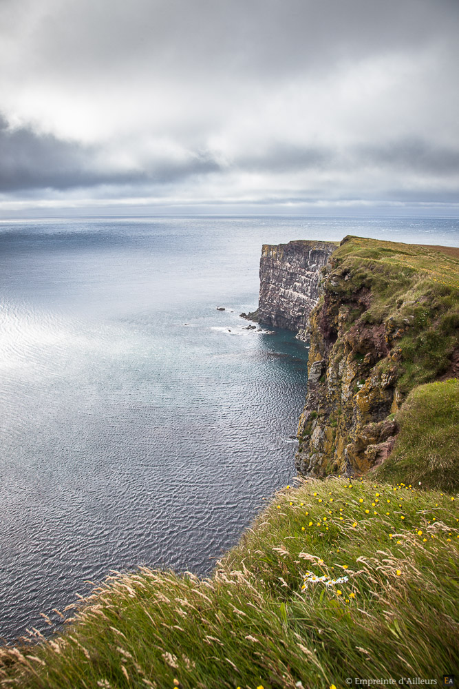 Falaises de Látrabjarg