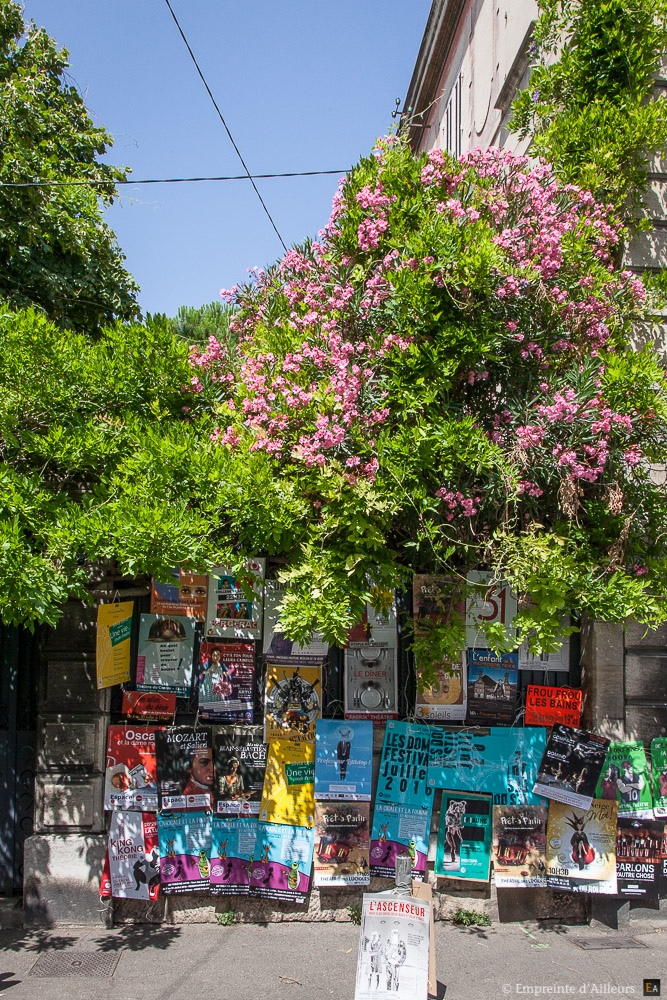 Affiches Festival d'Avignon