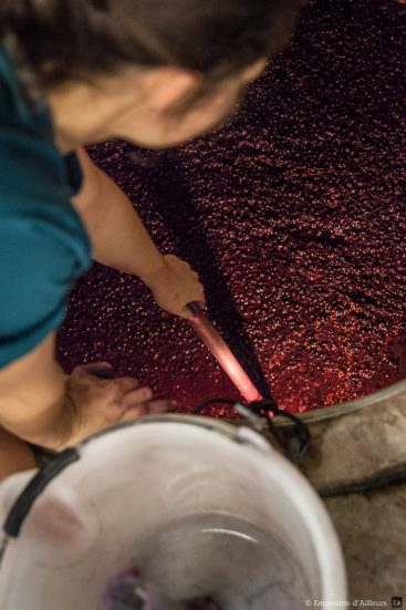 Cuve de fermentation du vin