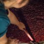 Cuve de fermentation du vin