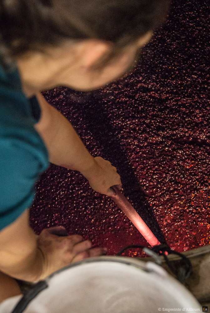 Cuve de fermentation du vin