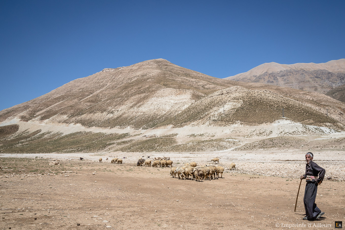 Eleveur nomade Bakhtiari